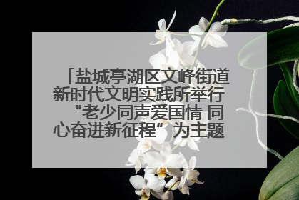 盐城亭湖区文峰街道新时代文明实践所举行“老少同声爱国情 同心奋进新征程”为主题的红色文化活动