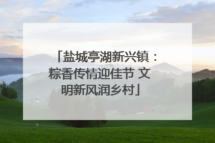 盐城亭湖新兴镇：粽香传情迎佳节 文明新风润乡村