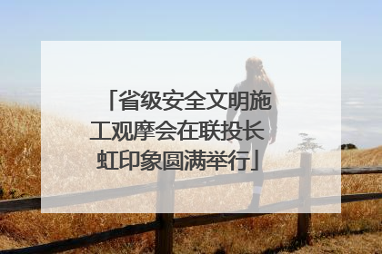 省级安全文明施工观摩会在联投长虹印象圆满举行