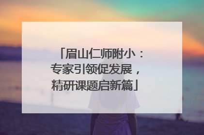 眉山仁师附小：专家引领促发展，精研课题启新篇