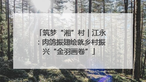 筑梦“湘”村｜江永：肉鸽振翅绘就乡村振兴“金羽画卷”