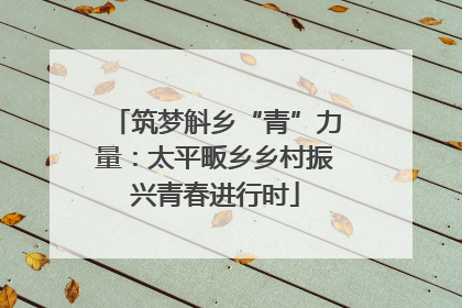 筑梦斛乡“青”力量：太平畈乡乡村振兴青春进行时