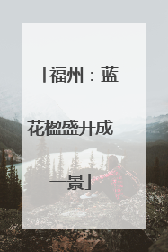 福州：蓝花楹盛开成一景