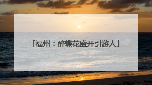 福州：醉蝶花盛开引游人