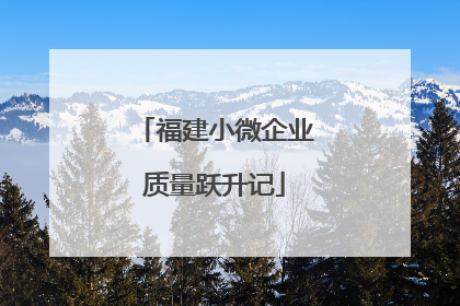 福建小微企业质量跃升记