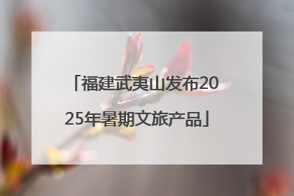 福建武夷山发布2025年暑期文旅产品