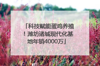科技赋能蛋鸡养殖！潍坊诸城现代化基地年销4000万