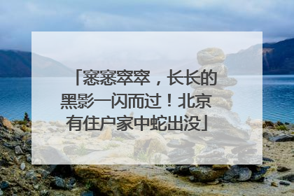窸窸窣窣，长长的黑影一闪而过！北京有住户家中蛇出没