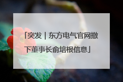 突发｜东方电气官网撤下董事长俞培根信息