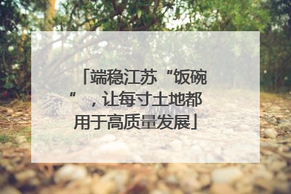 端稳江苏“饭碗”，让每寸土地都用于高质量发展