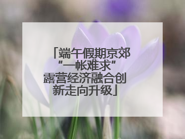 端午假期京郊“一帐难求” 露营经济融合创新走向升级
