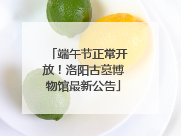 端午节正常开放！洛阳古墓博物馆最新公告