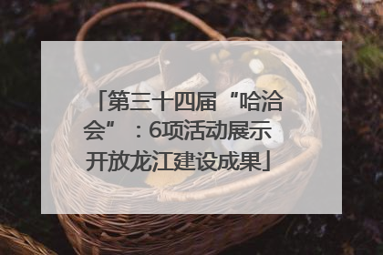 第三十四届“哈洽会”：6项活动展示开放龙江建设成果