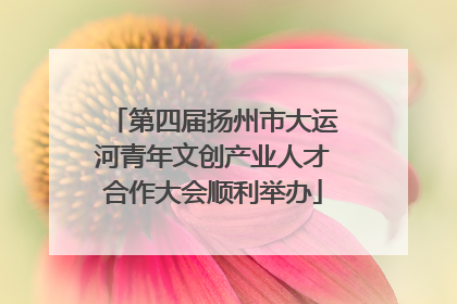 第四届扬州市大运河青年文创产业人才合作大会顺利举办