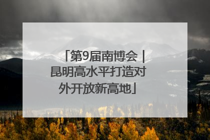 第9届南博会｜昆明高水平打造对外开放新高地