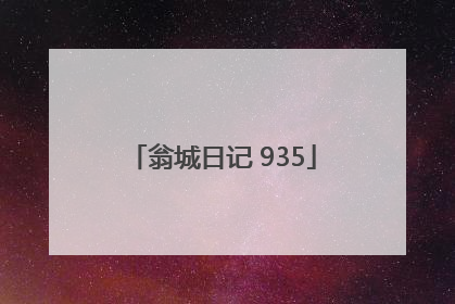 翁城日记 935