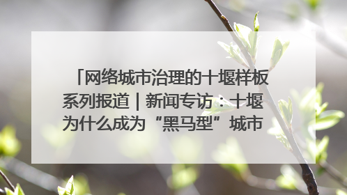 网络城市治理的十堰样板系列报道｜新闻专访：十堰为什么成为“黑马型”城市治理网络维度典型