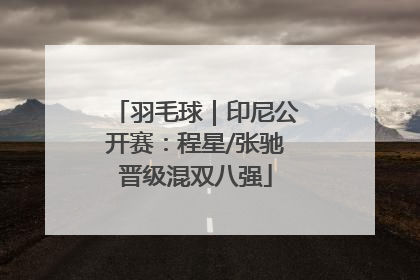 羽毛球｜印尼公开赛：程星/张驰晋级混双八强