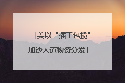 美以“插手包揽”加沙人道物资分发