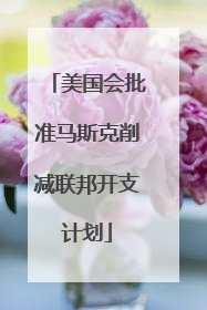 美国会批准马斯克削减联邦开支计划