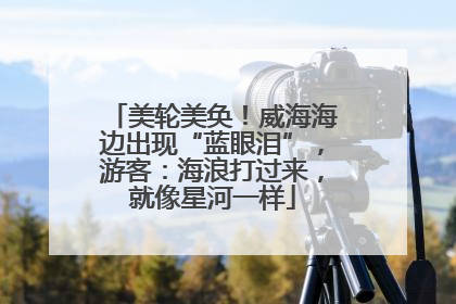 美轮美奂！威海海边出现“蓝眼泪”，游客：海浪打过来，就像星河一样