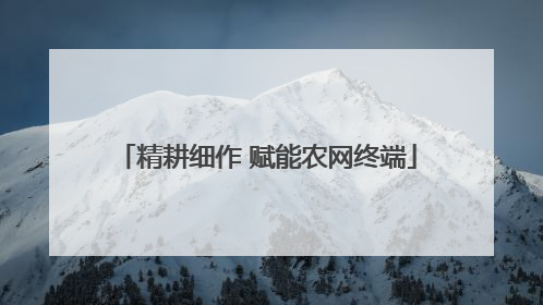 精耕细作 赋能农网终端