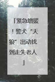 紧急增援！警犬“天狼”出动找到走失老人