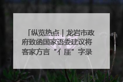 纵览热点｜龙岩市政府致函国家语委建议将客家方言“亻厓”字录入《新华字典》引发热议，当地回应