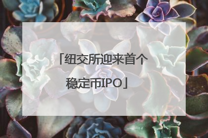 纽交所迎来首个稳定币IPO