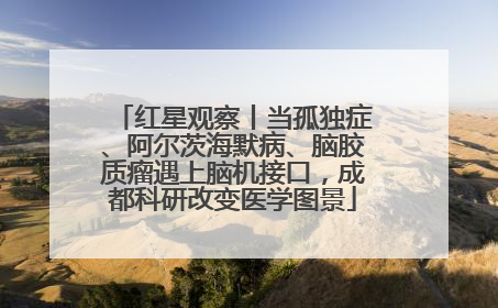 红星观察丨当孤独症、阿尔茨海默病、脑胶质瘤遇上脑机接口，成都科研改变医学图景