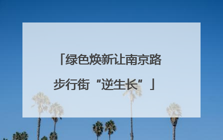 绿色焕新让南京路步行街“逆生长”