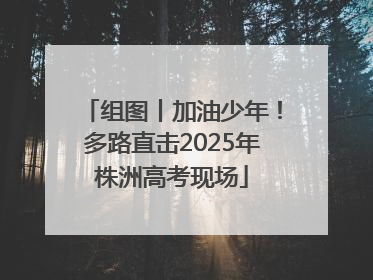 组图丨加油少年！多路直击2025年株洲高考现场