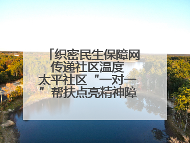 织密民生保障网 传递社区温度 太平社区“一对一”帮扶点亮精神障碍患者希望
