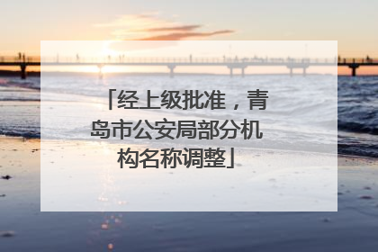 经上级批准，青岛市公安局部分机构名称调整