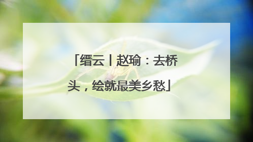 缙云丨赵瑜：去桥头，绘就最美乡愁
