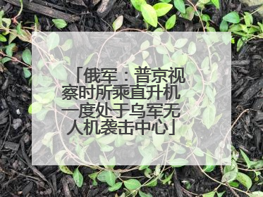 俄军：普京视察时所乘直升机一度处于乌军无人机袭击中心