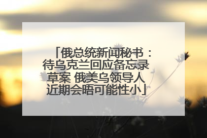 俄总统新闻秘书：待乌克兰回应备忘录草案 俄美乌领导人近期会晤可能性小