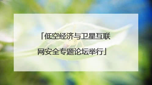 低空经济与卫星互联网安全专题论坛举行