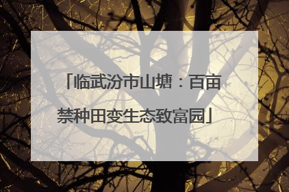临武汾市山塘：百亩禁种田变生态致富园