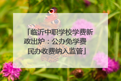 临沂中职学校学费新政出炉：公办免学费 民办收费纳入监管