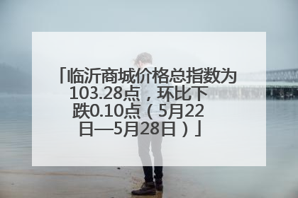 临沂商城价格总指数为103.28点，环比下跌0.10点（5月22日—5月28日）