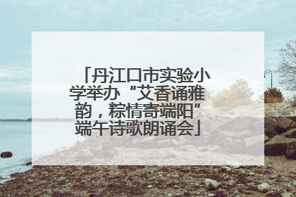 丹江口市实验小学举办“艾香诵雅韵，粽情寄端阳”端午诗歌朗诵会