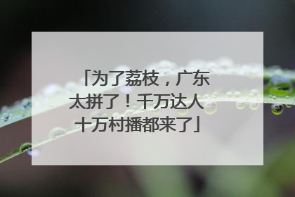 为了荔枝，广东太拼了！千万达人十万村播都来了