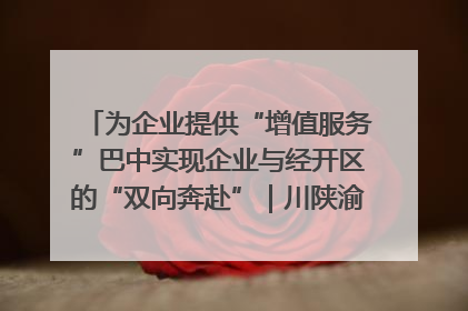 为企业提供“增值服务”巴中实现企业与经开区的“双向奔赴”｜川陕渝网络名人巴中行