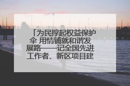 为民撑起权益保护伞 用情铺就和谐发展路——记全国先进工作者、新区项目建设中心干部卢小勇