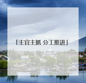 主官主抓 分工推进