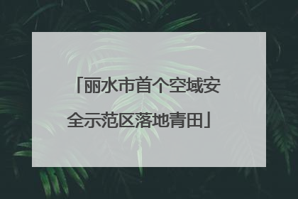 丽水市首个空域安全示范区落地青田