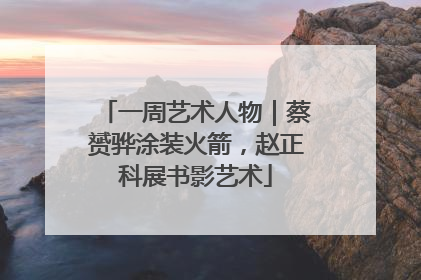 一周艺术人物｜蔡赟骅涂装火箭，赵正科展书影艺术