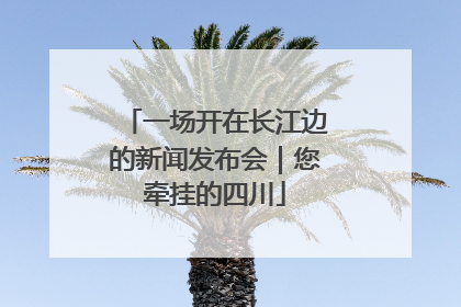 一场开在长江边的新闻发布会｜您牵挂的四川