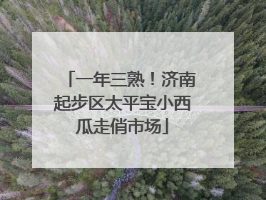 一年三熟！济南起步区太平宝小西瓜走俏市场